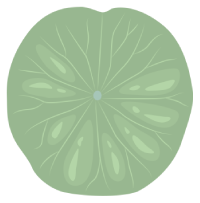 about element